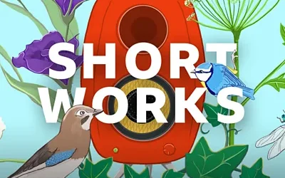 Bita Taghavi on BBC R4